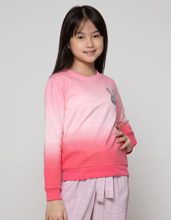 Aero Sweatshirt Sorbet Bunny Ombre
