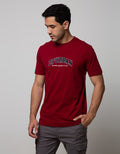 d&f T-Shirt  Df Urban Rubber Flocking