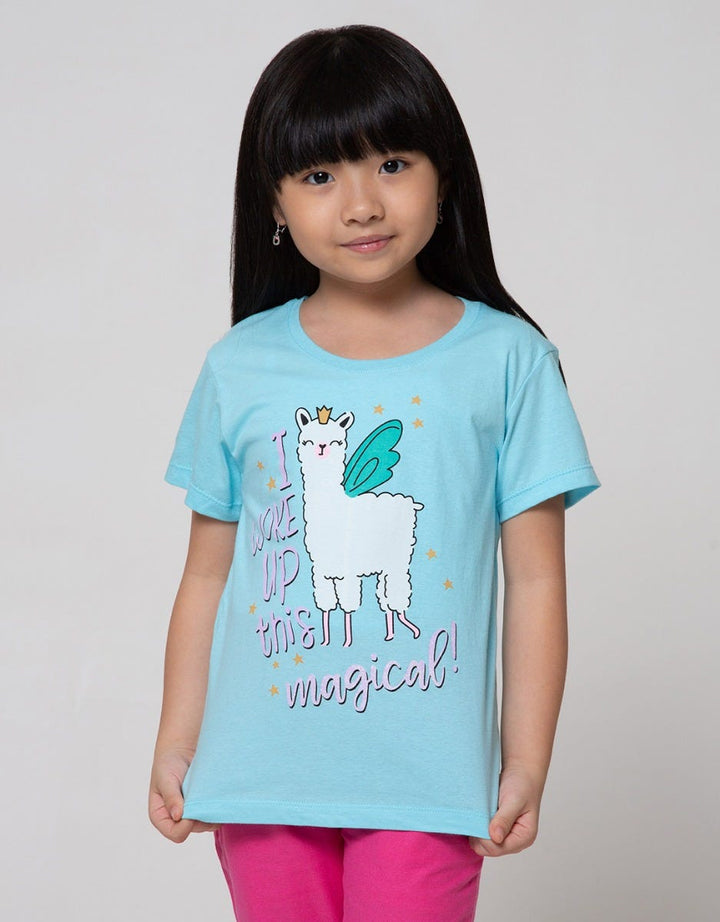 Little M Short Sleeve T-Shirt Print Llama 2 Packs