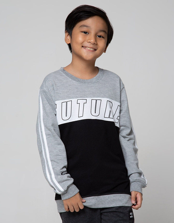 Nevada Sweatshirt Sweater Future