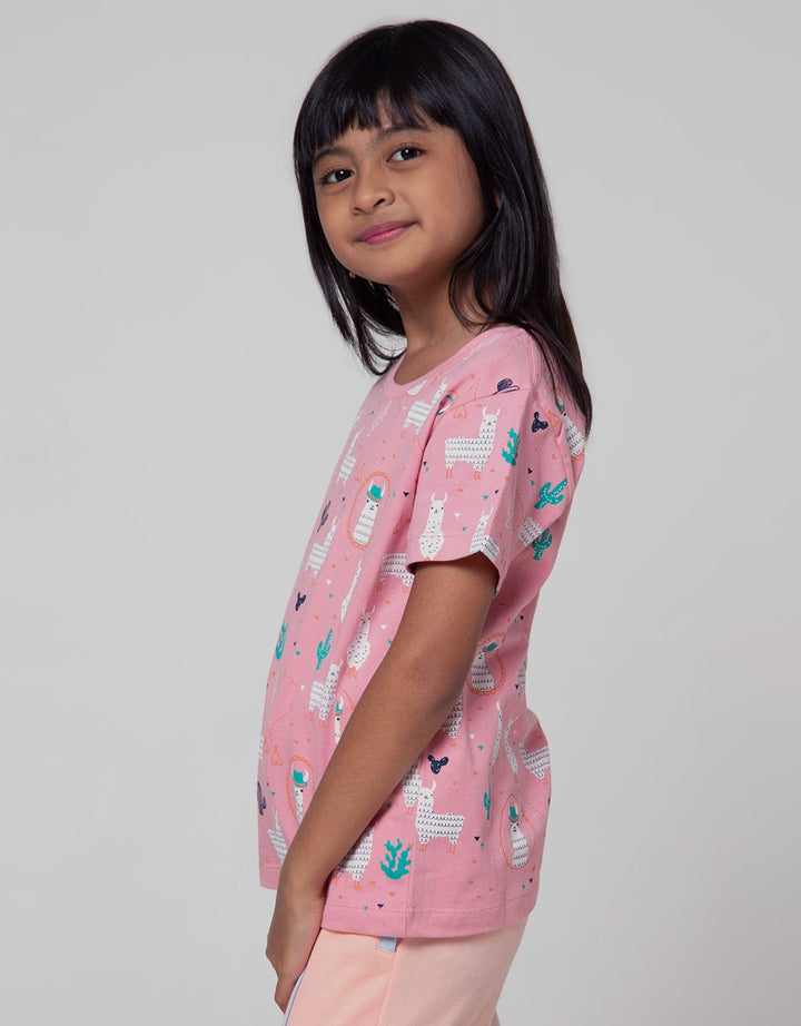 Little M Short Sleeve T-Shirt 2 Pack Llama
