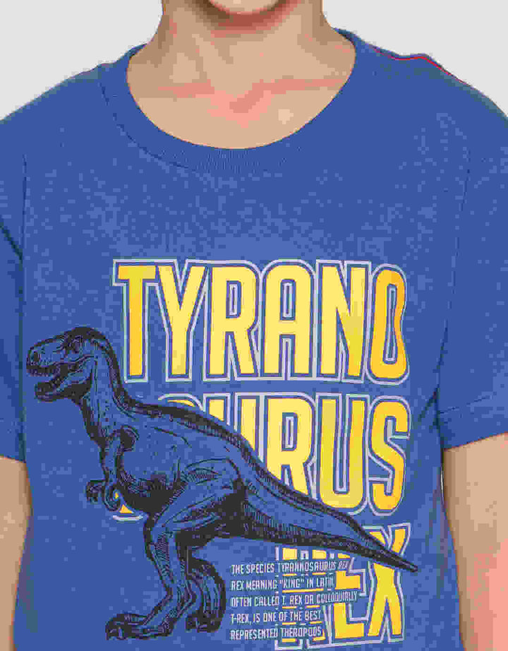 Little M Animal Dino Kaos Anak Laki-laki