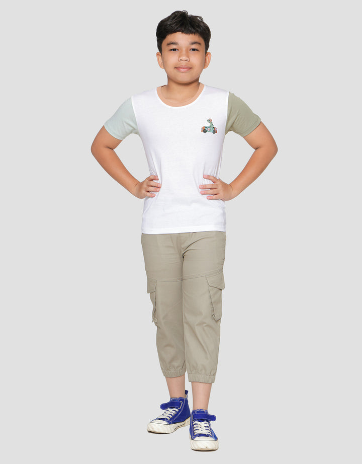 Little M Color Block Sleeve Embro Dino Boys T-Shirt