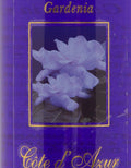 Eloicoco Champagne Body Splash 260 ML Gardenia