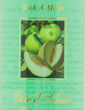 Eloicoco Champagne Body Splash 260 ML Rock A Melon
