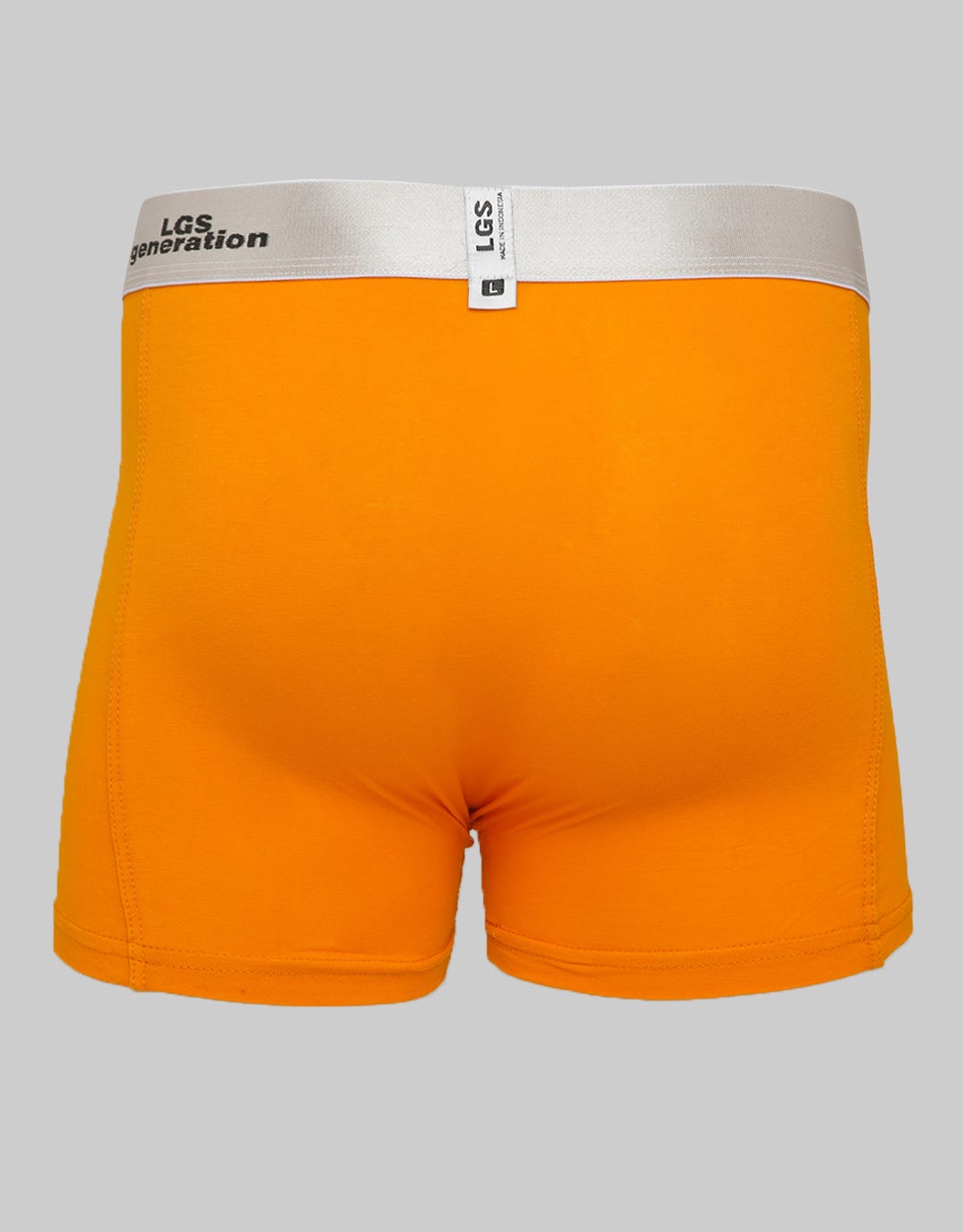 LGS Boxer Multipack