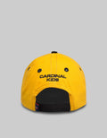 Cardinal Kids Boy Large City Hat
