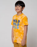 Aero Short Sleeve Tiedye Triple Wild