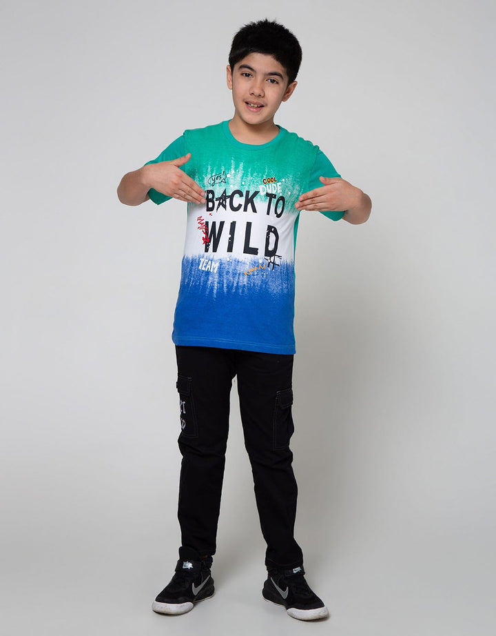 Aero Short Sleeve T-Shirt Wild Ombre