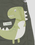 Little M Dino Trex Overall Baby Boy
