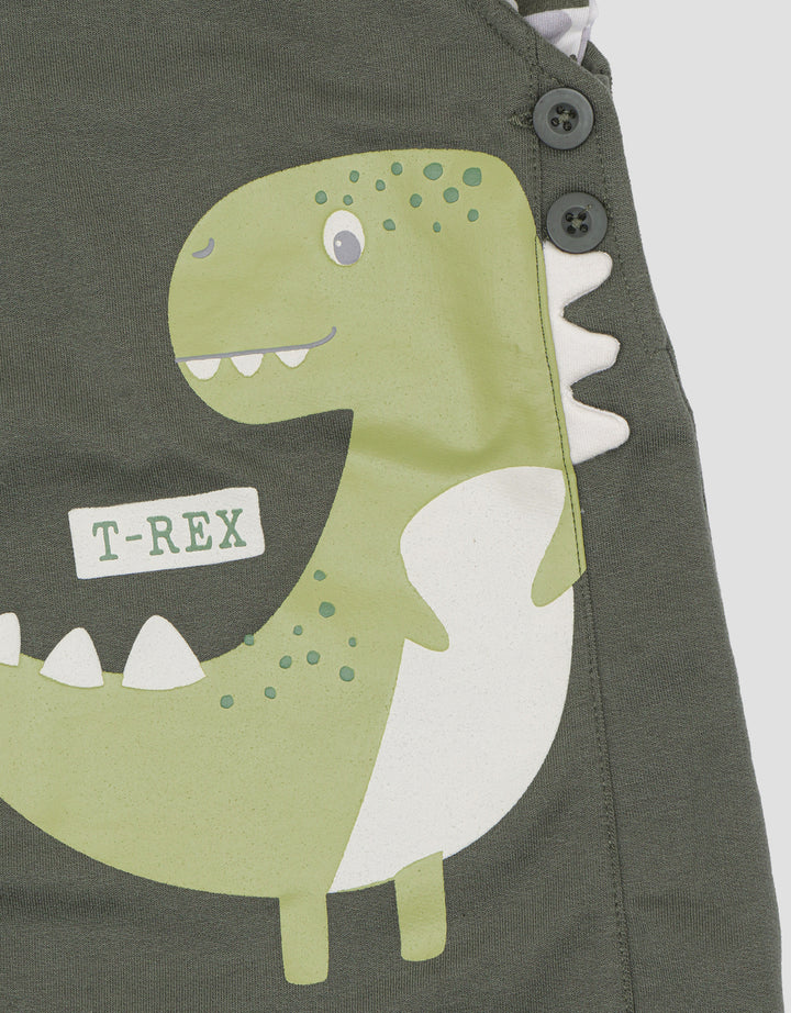 Little M Dino Trex Overall Baby Boy