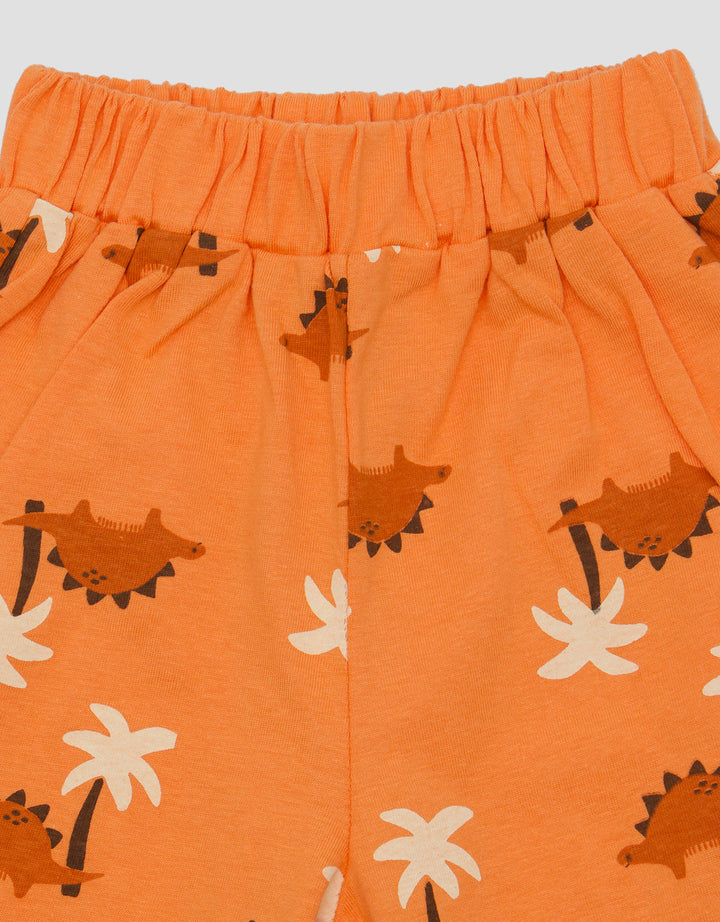 Pipiniko Brave Dino Boys Clothing Set