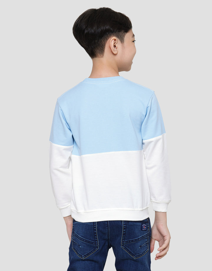 Little M Color Combi Boys Sweater