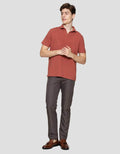 Cole Fancy Solid Ottoman Vneck Kaos Polo Pria