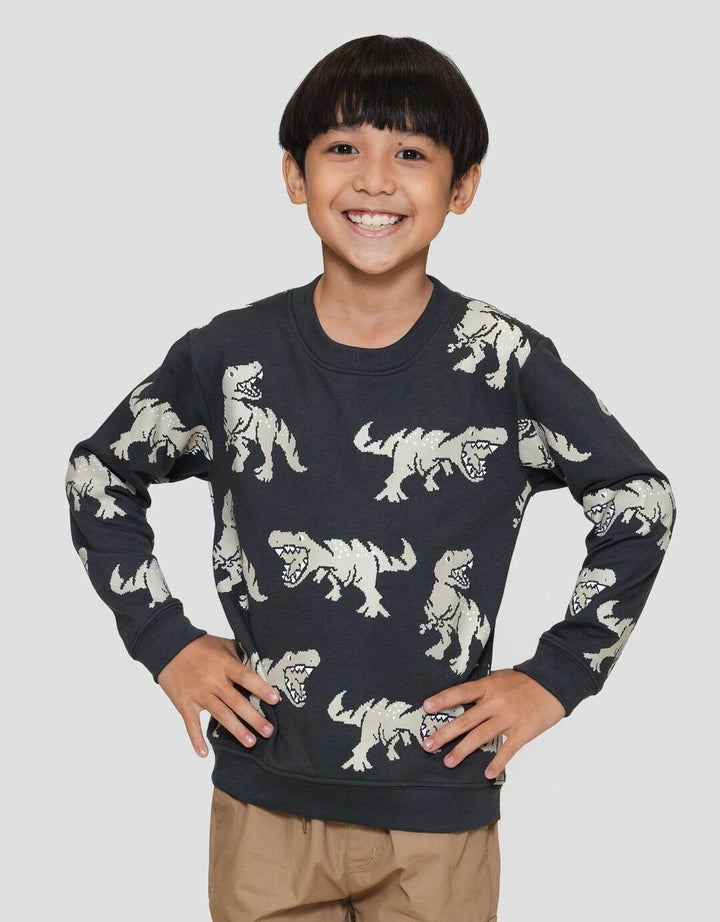 Little M Print Dino Sweater Anak Laki-laki