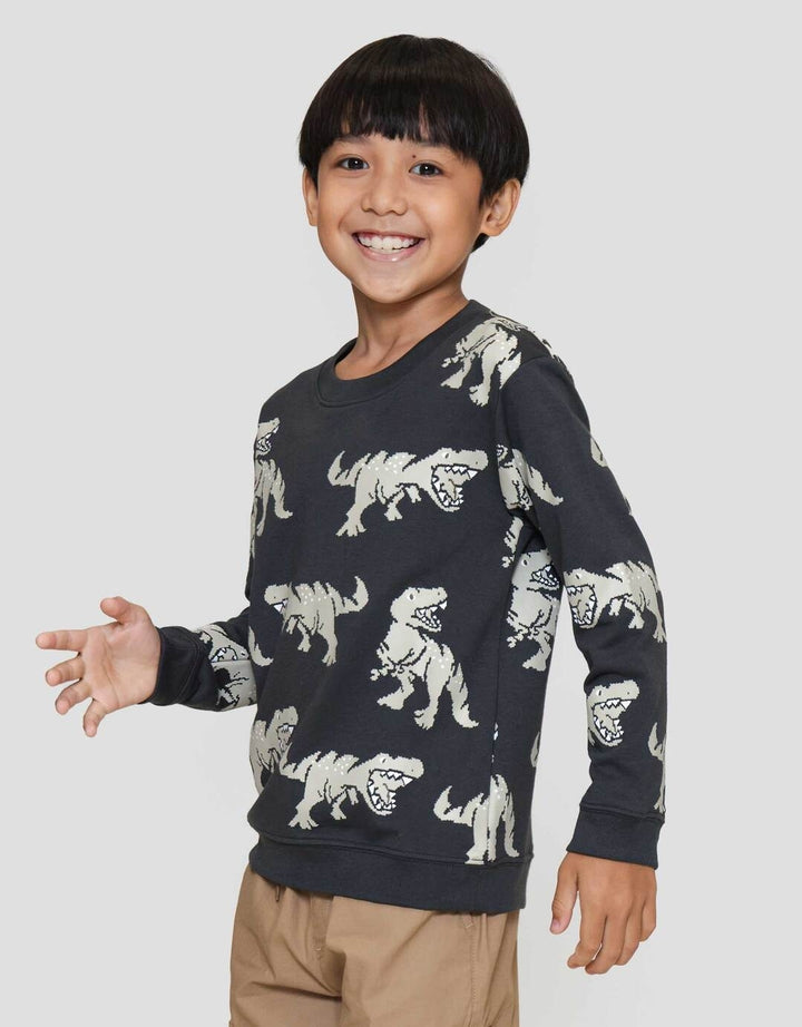 Little M Print Dino Sweater Anak Laki-laki