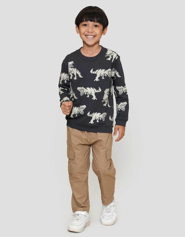 Little M Print Dino Sweater Anak Laki-laki