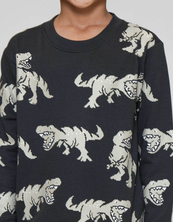 Little M Print Dino Sweater Anak Laki-laki
