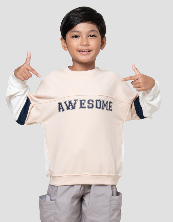 Little M Cut Sewn Awesome Sweater Anak Laki-laki