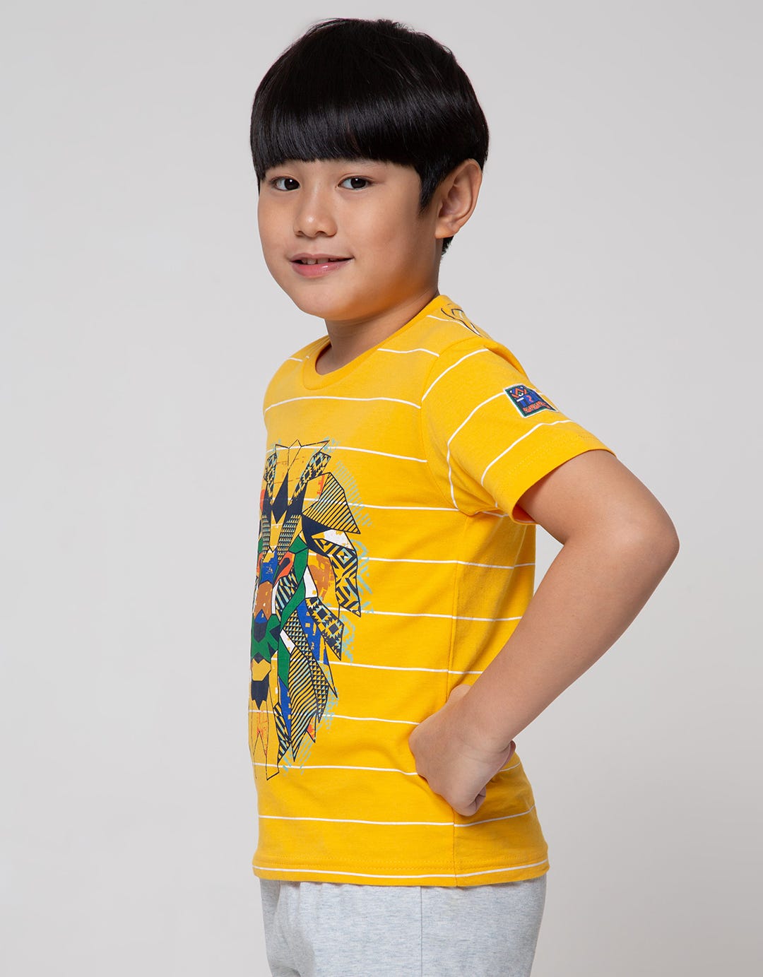 Little M Short Sleeve T-Shirt Print Stripe Lion Application Pocket