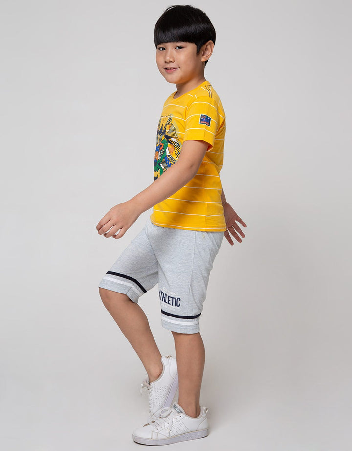 Little M Short Sleeve T-Shirt Print Stripe Lion Application Pocket