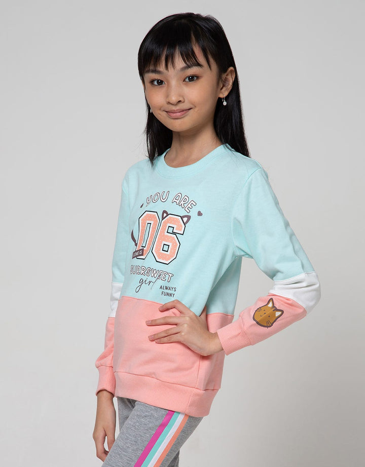 Aero Sweatshirt Cool Cat Face