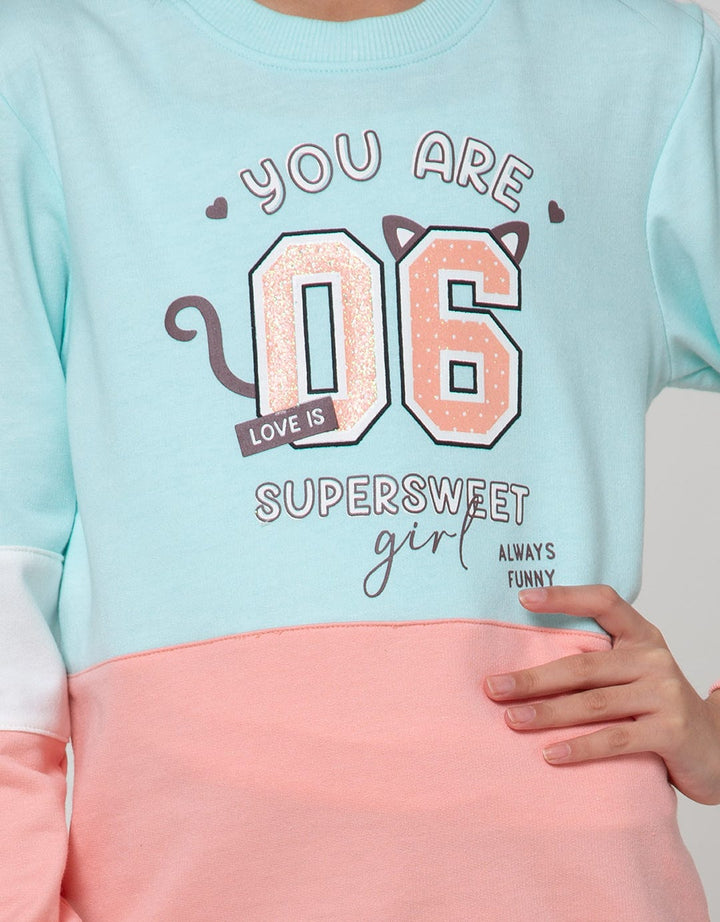 Aero Sweatshirt Cool Cat Face