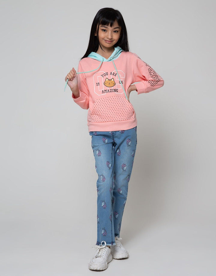 Aero Sweatshirt Hoodie Cool Cat Face