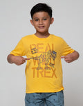 Little M Short Sleeve T-Shirt Multipack 3 Pack 30S Dino