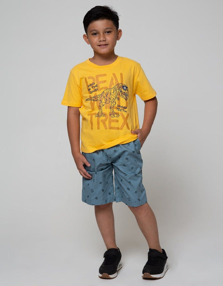 Little M Short Sleeve T-Shirt Multipack 3 Pack 30S Dino