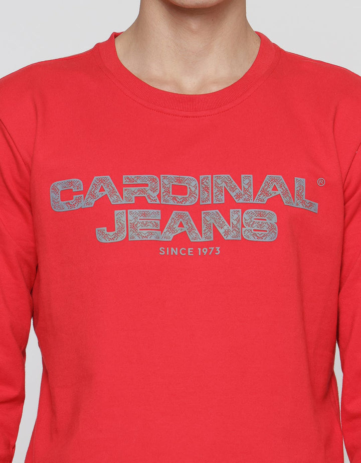 Cardinal Jeans Wording Brand Men's Sweater