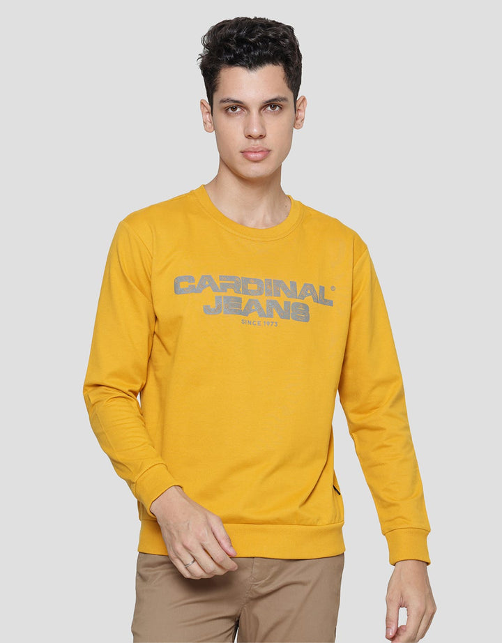 Cardinal Jeans Wording Brand Print Men's Sweater