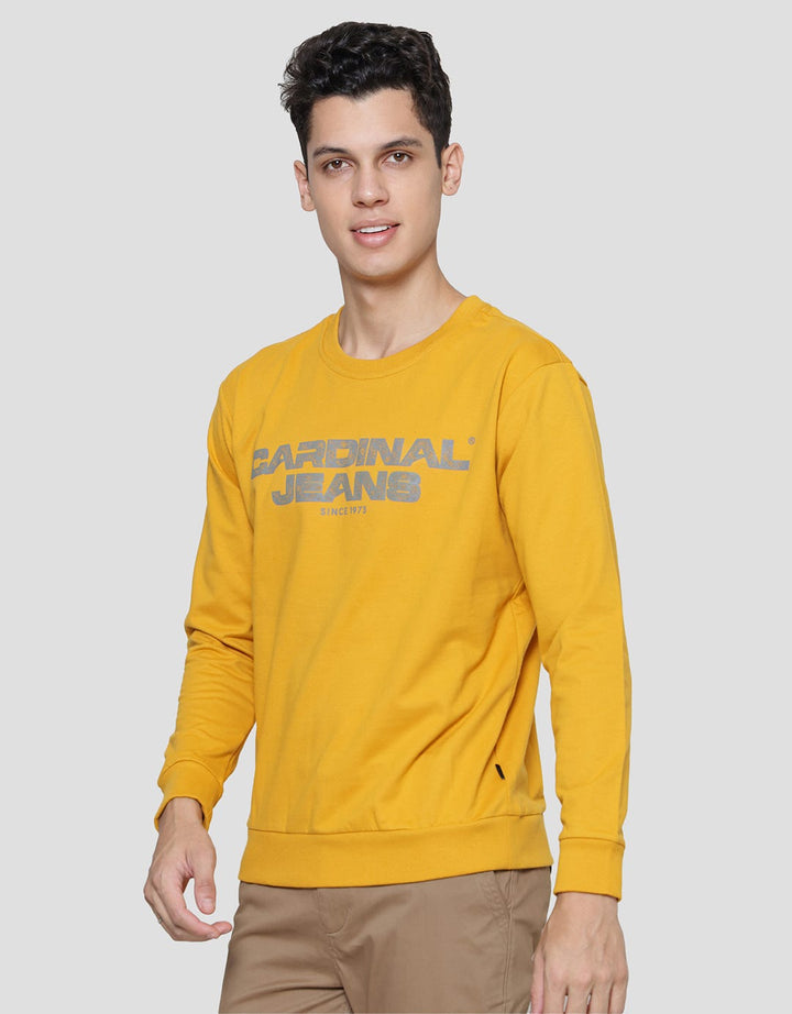 Cardinal Jeans Wording Brand Print Men's Sweater