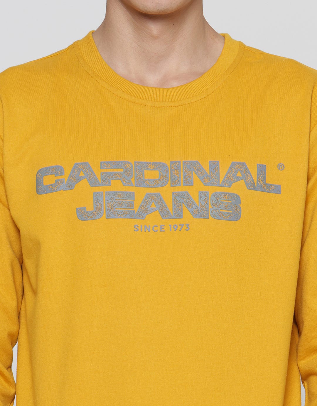 Cardinal Jeans Wording Brand Print Men's Sweater