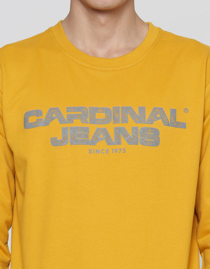 Cardinal Jeans Wording Brand Print Men's Sweater