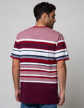 Cole Short Sleeve T-Shirt Stripe Chest Fider Stedd
