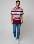 Cole Short Sleeve T-Shirt Stripe Chest Fider Stedd