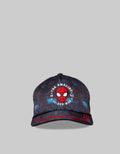 Marvel Spiderman Td Head Hat