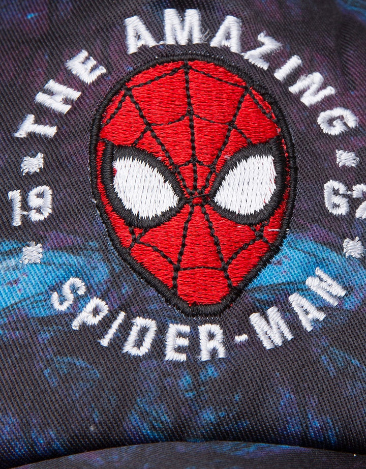 Marvel Spiderman Td Head Hat