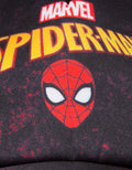 Marvel Spiderman Logo Hat