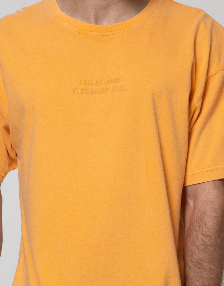 SS T-SHIRT ICE WASH 