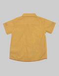 Pipiniko Short Sleeve Shirt Little Tiger