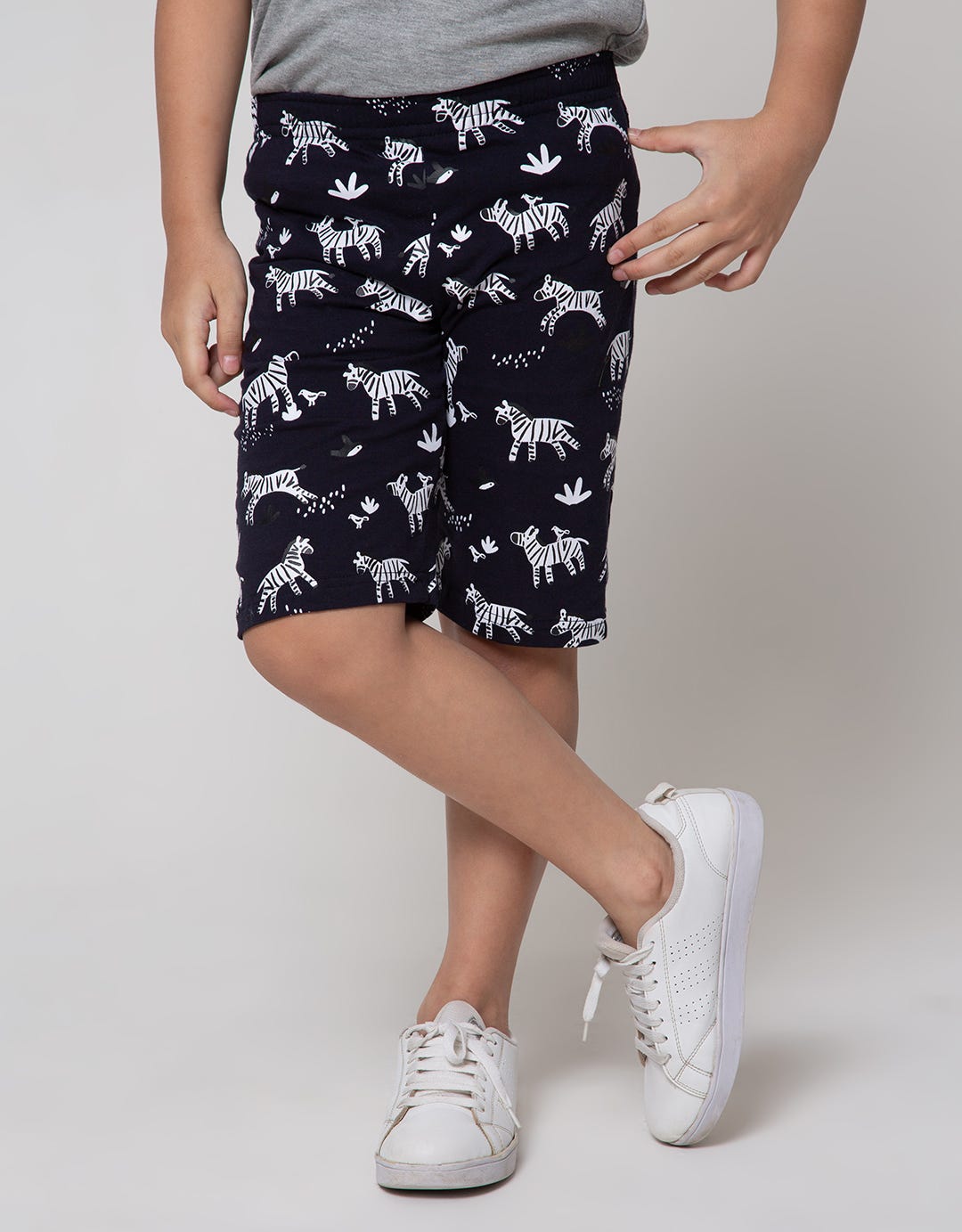 Little M Short Pants Knit Multipack 2 Pack Zebra