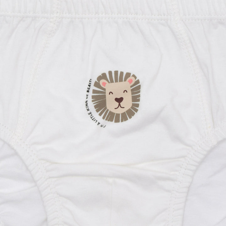Little M Pack Of 5 Boys Lion Celana Dalam Anak Laki-laki