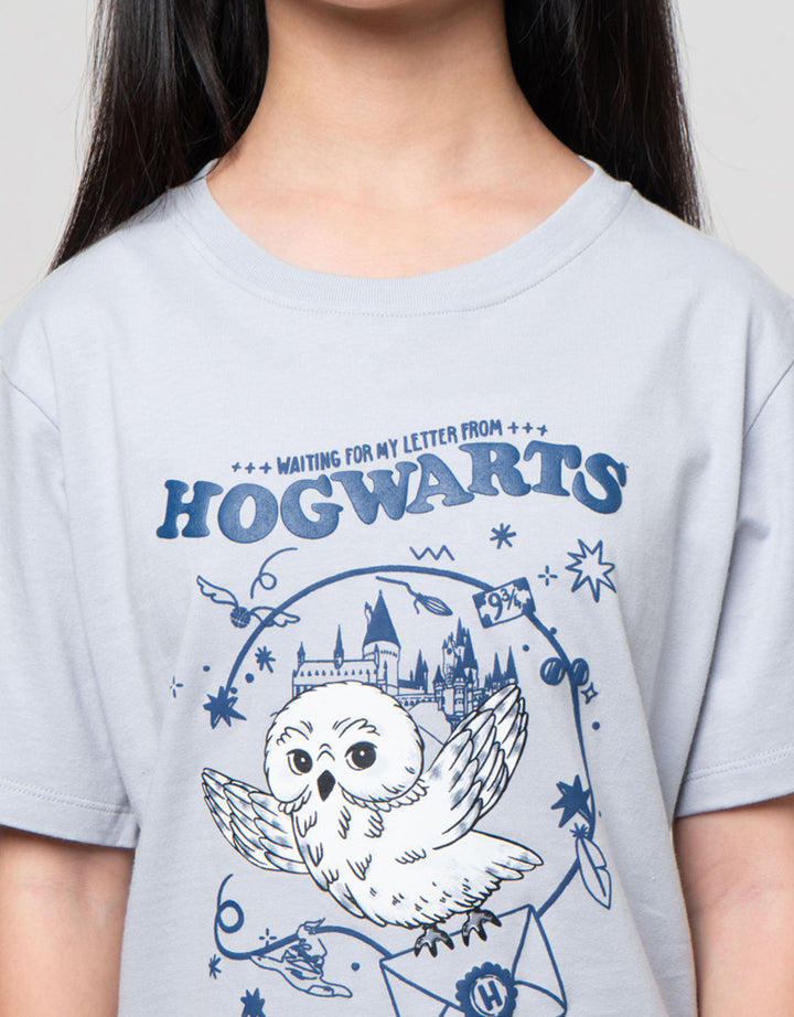Character Harry Potter Kaos Anak Perempuan
