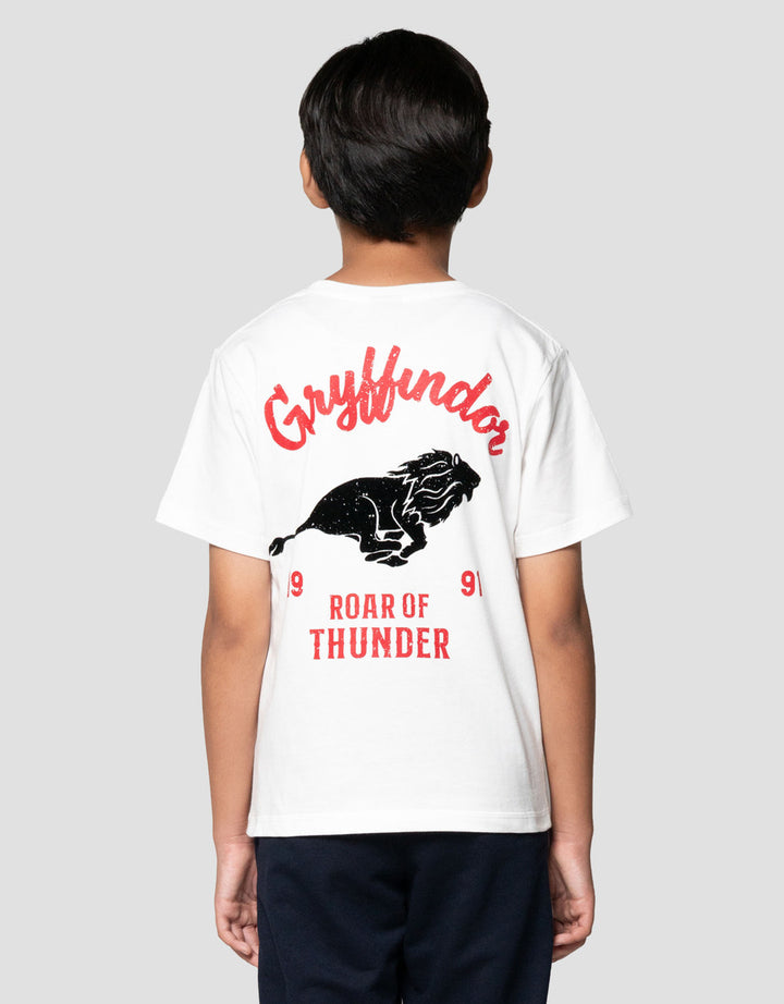 Character Harry Potter Kaos Anak Laki-laki