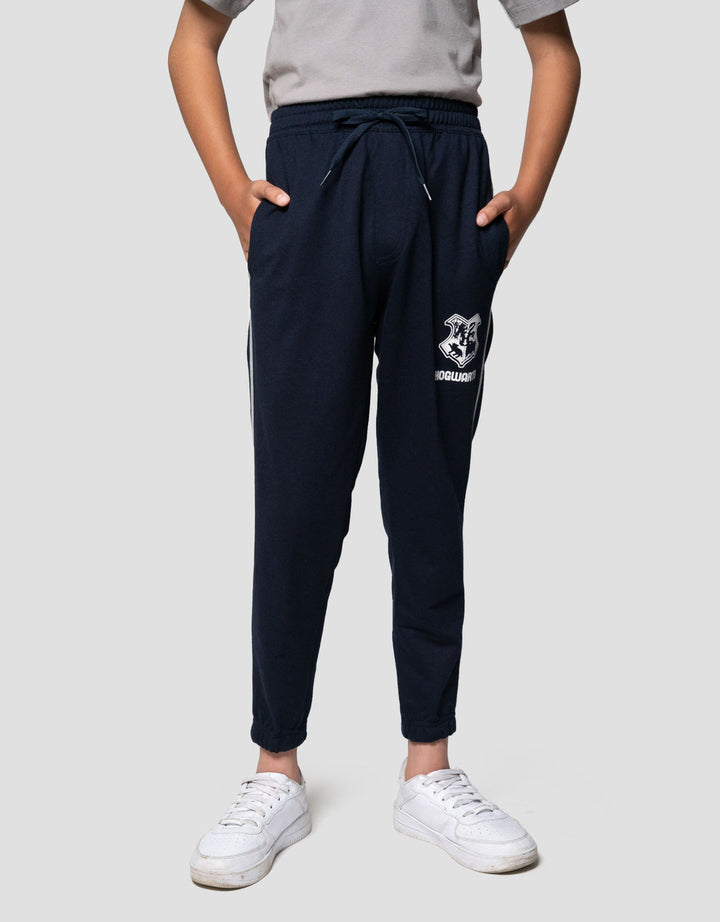 Character Knit Harry Potter Logo Jogger Anak Laki-laki
