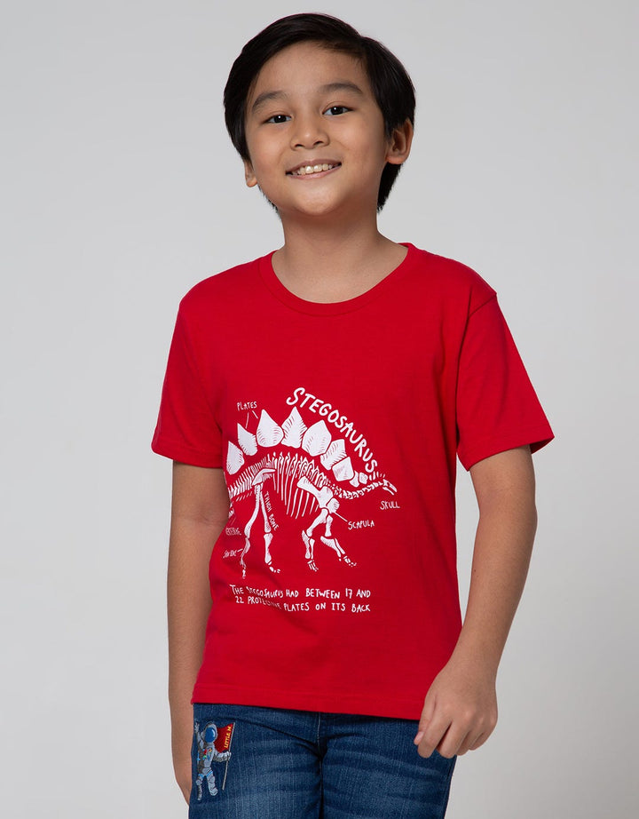 Little M Short Sleeve T-Shirt Basic Best Buy Dino Graphic