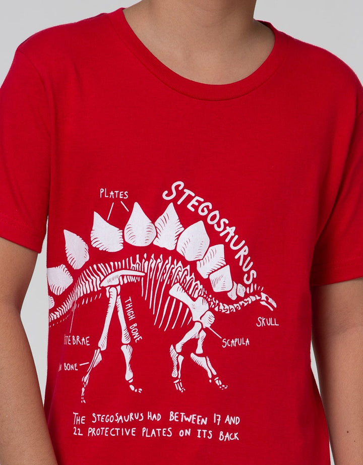 Little M Short Sleeve T-Shirt Basic Best Buy Dino Graphic
