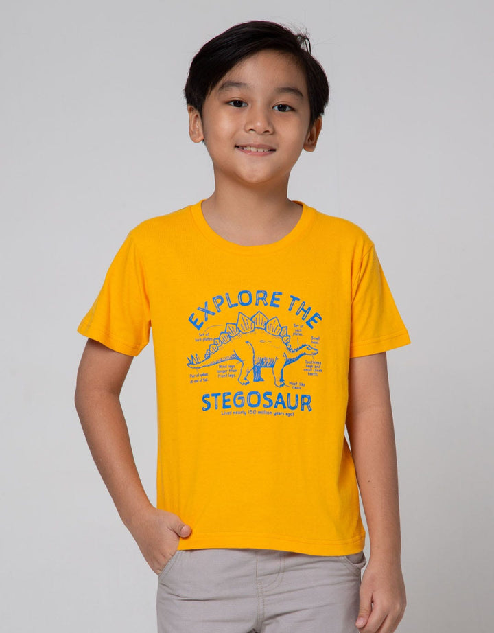 Little M Short Sleeve T-Shirt Explore The Stegosaur